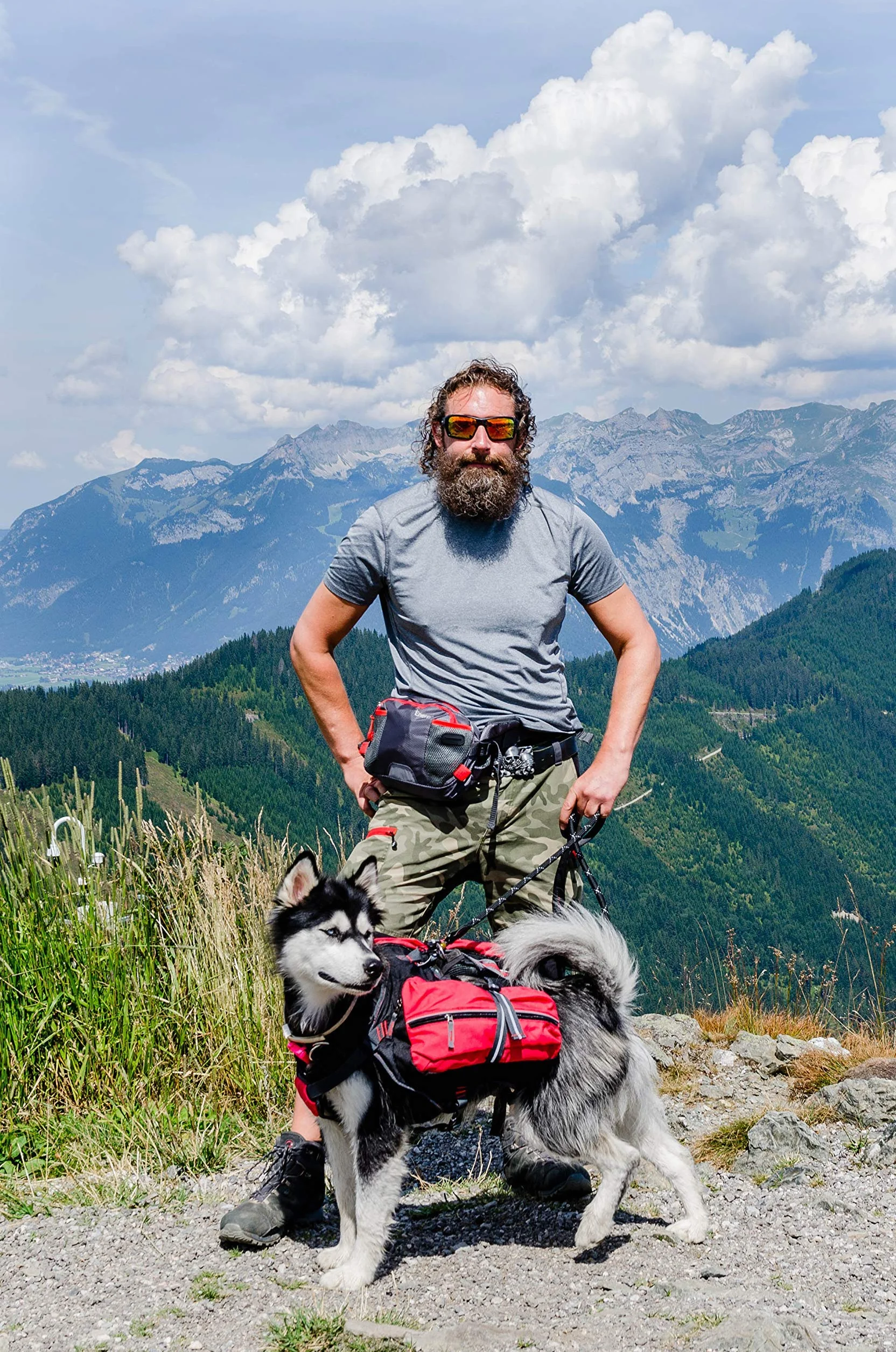iEnergy Mal Sac à Dos pour Chien Rembourré Résistant aux Intempéries Randonnée Voyage Taille M