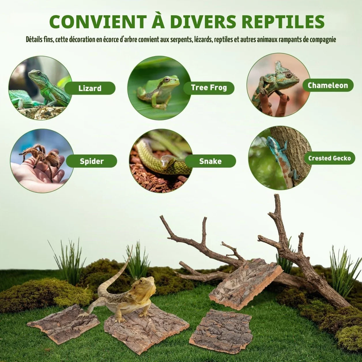 DOITOOL Lot de 4 Toiles de Fond en écorce de liège Naturel pour Reptiles Terrarium