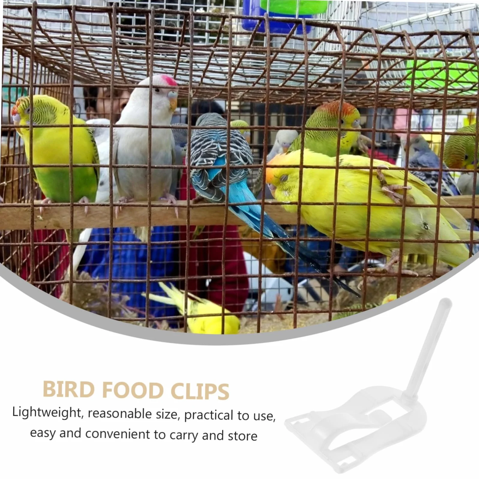 BESPORTBLE Support Os Seiche Abs pour Cage à Oiseaux Pince Alimentaire Polyvalente Légumes Friandises Accessoire Perruches Canaris Cockatiels Finches