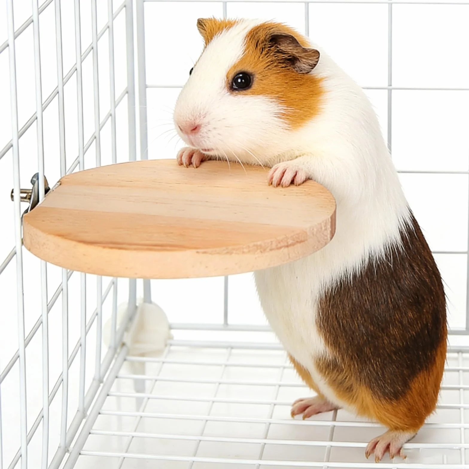 Lot de 10 accessoires pour hamster en bois, jouets pour hamster, plate-forme pour petits animaux, avec planche à sauter, surfaces rectangulaires rondes et 5 balles pour cochons d'Inde, chinchilla