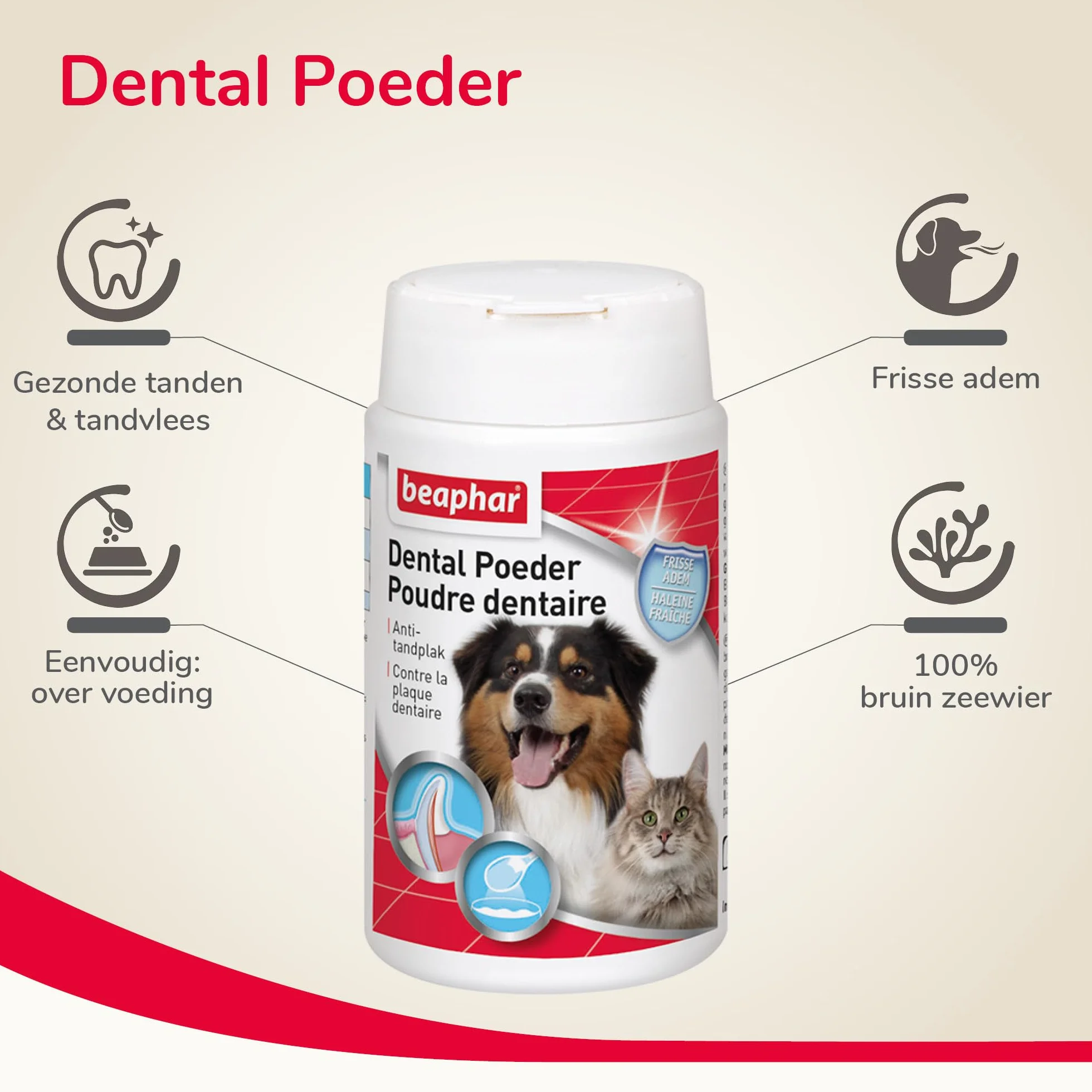 BEAPHAR Poudre Dentaire pour Chien et Chat Nettoyage des Dents sans Brossage 100% Naturelle 75g