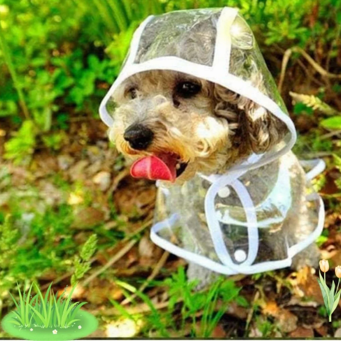 Poncho de Pluie en PVC Transparent Imperméable pour Chien, Taille 52 cm