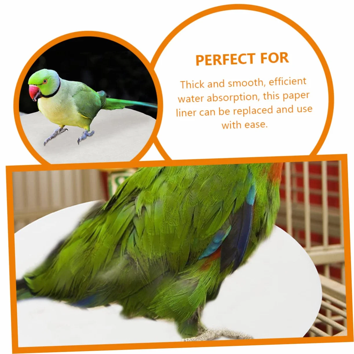 Toddmomy 100 Feuilles Coussins Absorbants pour Cage à Oiseaux Jetables Hygiéniques