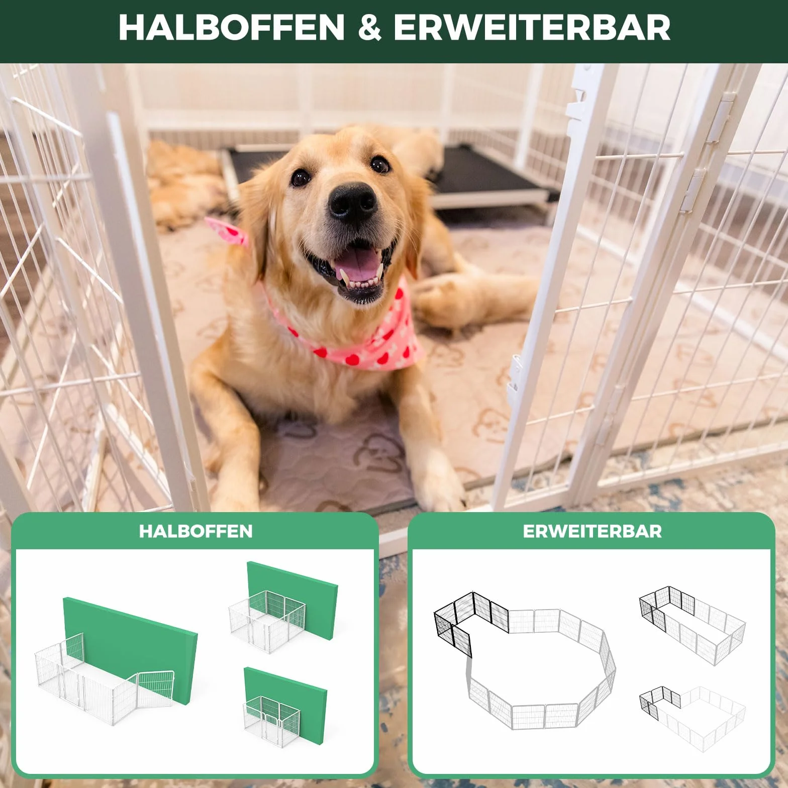 Homeplus Enclos pour Chiens 80cm 8 Panneaux de Fil Stables pour Chiots et Petits Chiens Blanc