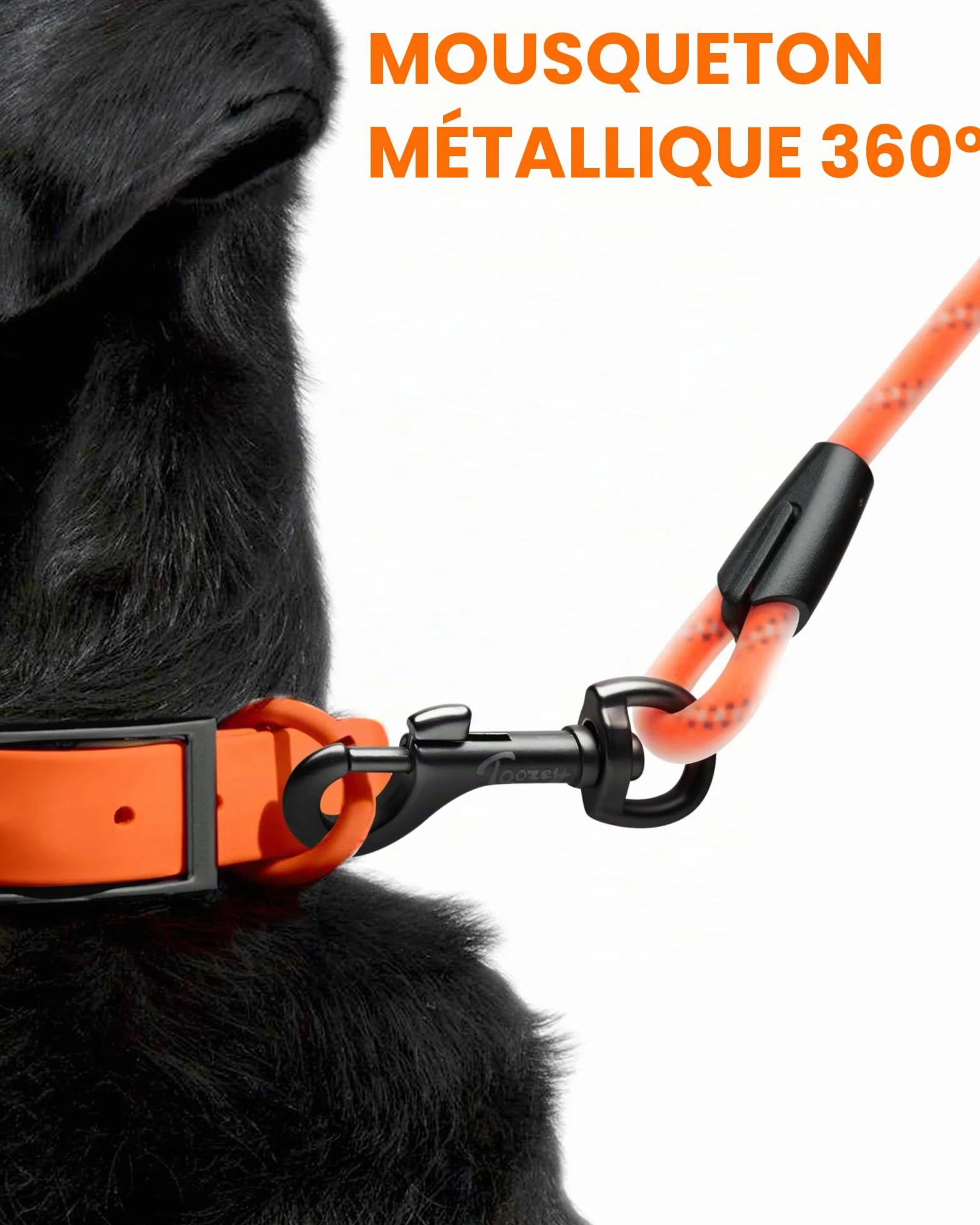 Laisse pour Chien - Imperméable et réfléchissante pour la sécurité - Légère, Solide et Robuste - Laisse d'entraînement avec dragonne - 5m/10m/15m/20m pour Petits, Moyens et Grands Chiens