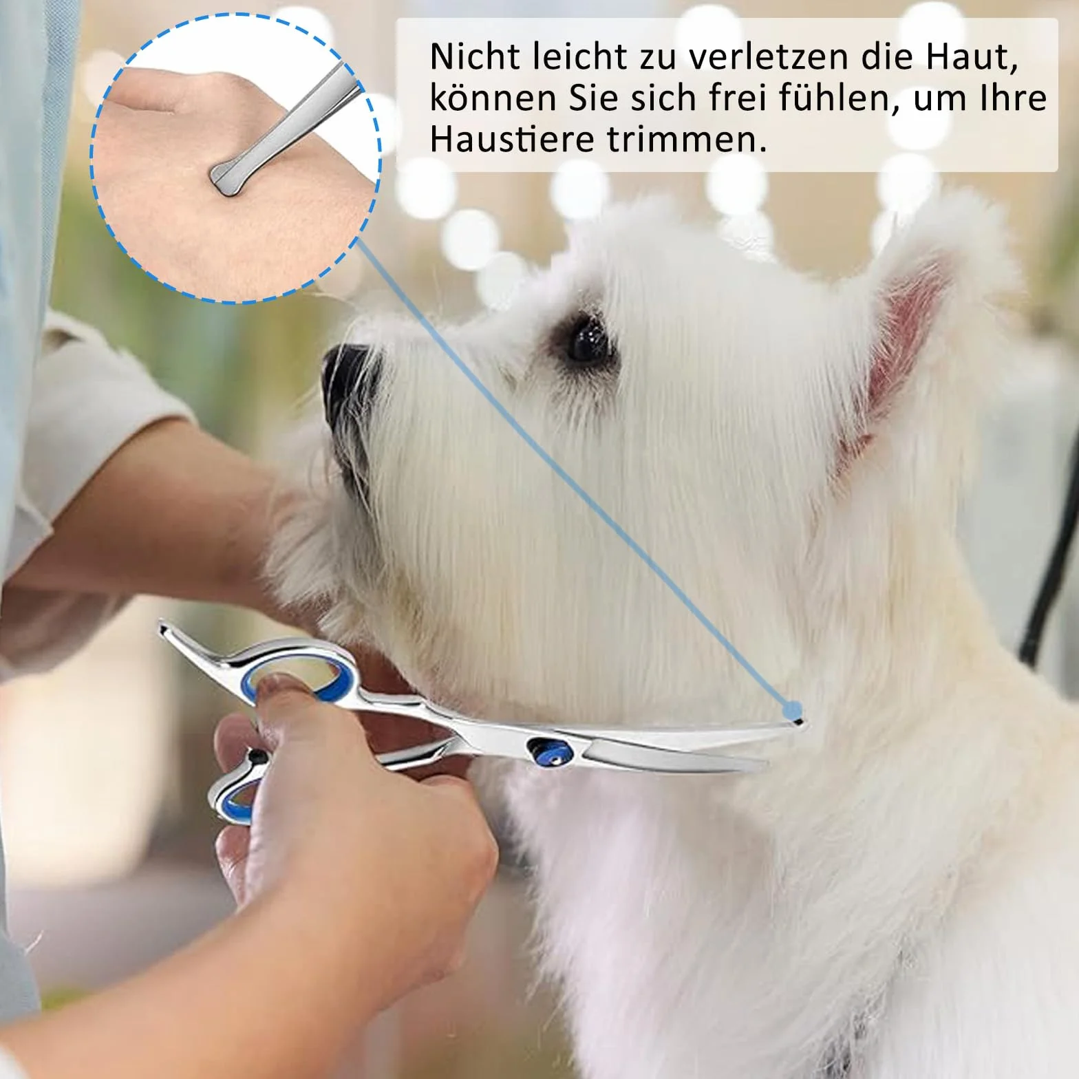 Ciseaux de toilettage pour chiens et chats en acier inoxydable bleu