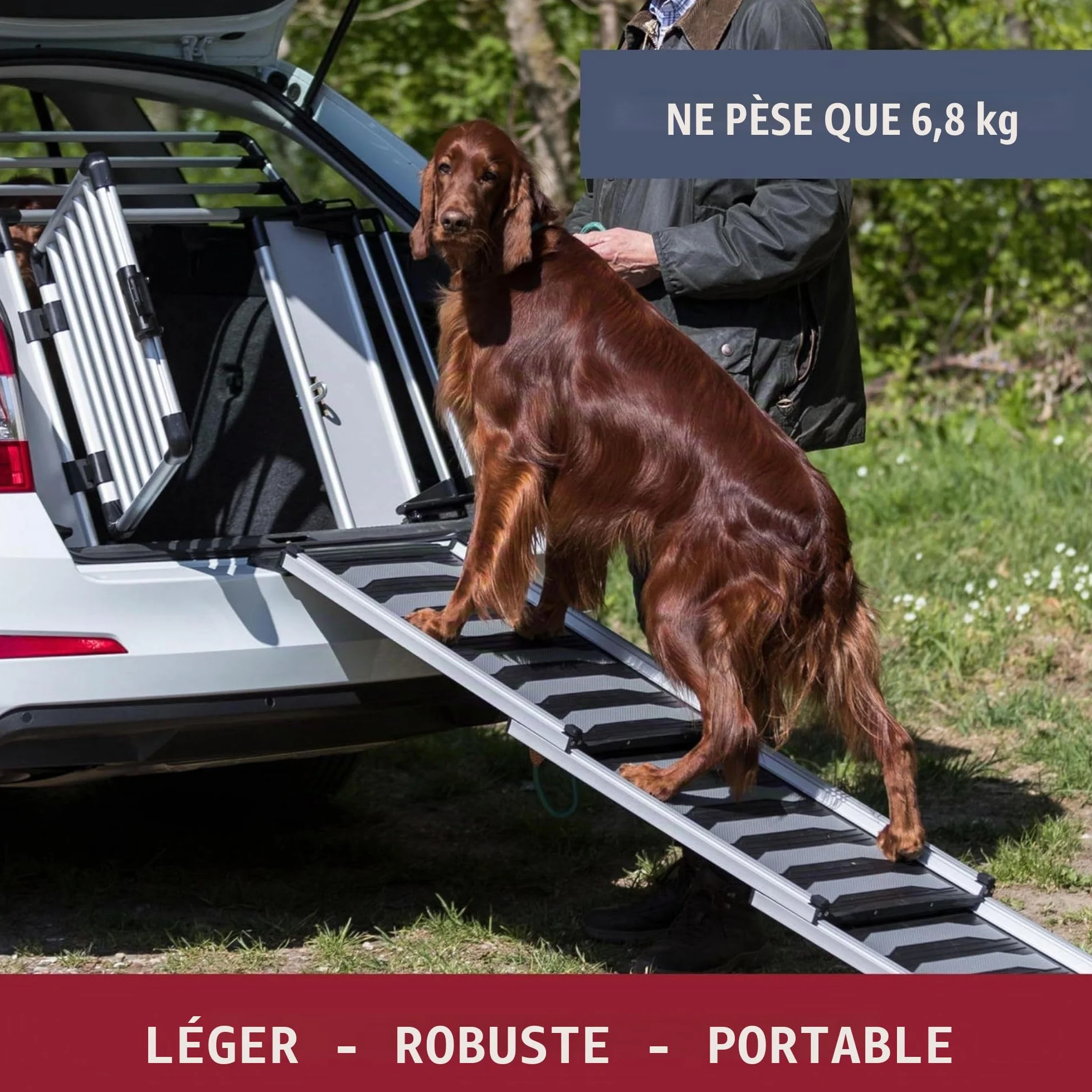 Rampe télescopique pour chien en Aluminium 175,3 cm Trixie