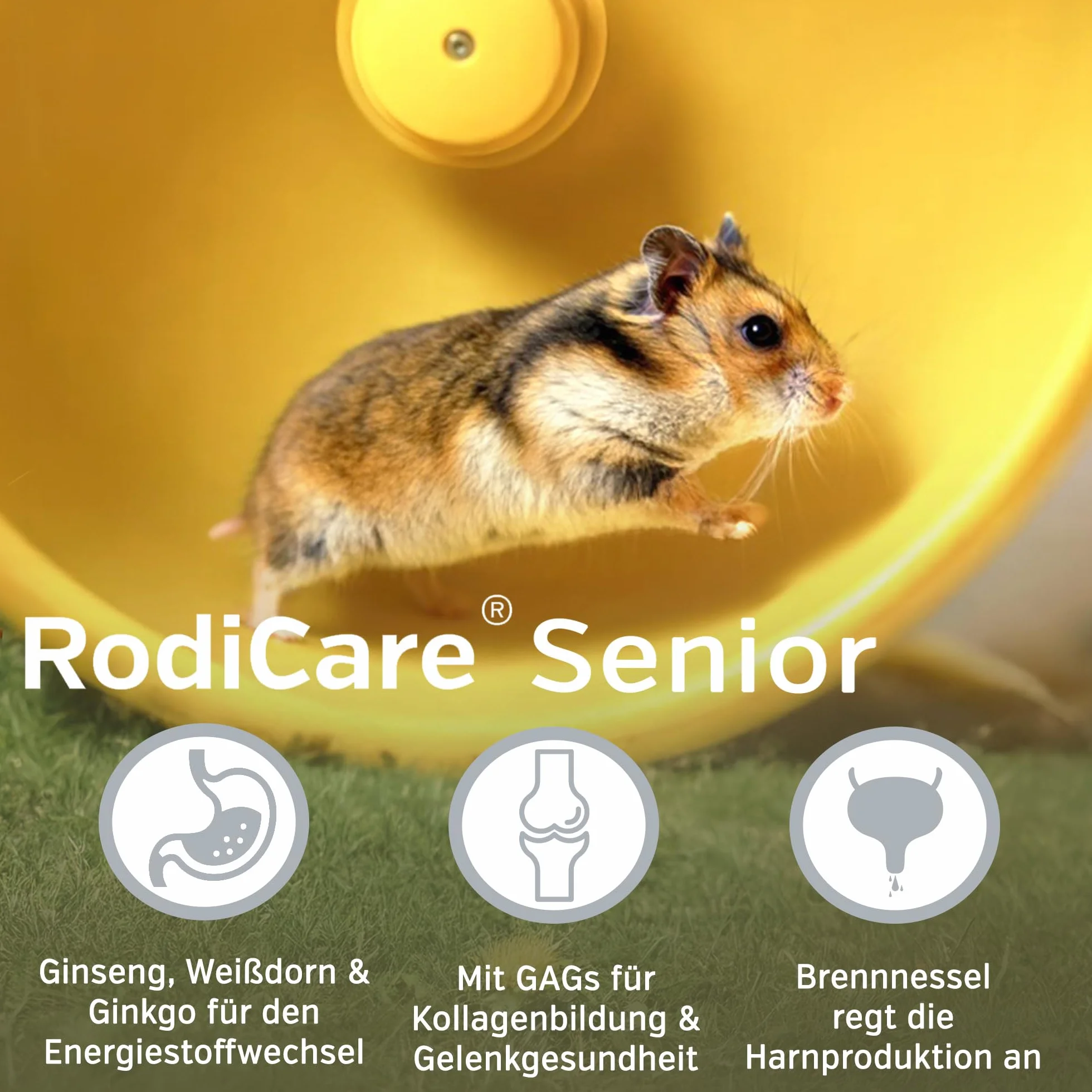 alfavet RodiCare Senior Complément Alimentaire pour Lapins Cochons d'Inde Petits Rongeurs Ginseng Ginkgo Aubépine 20 ML