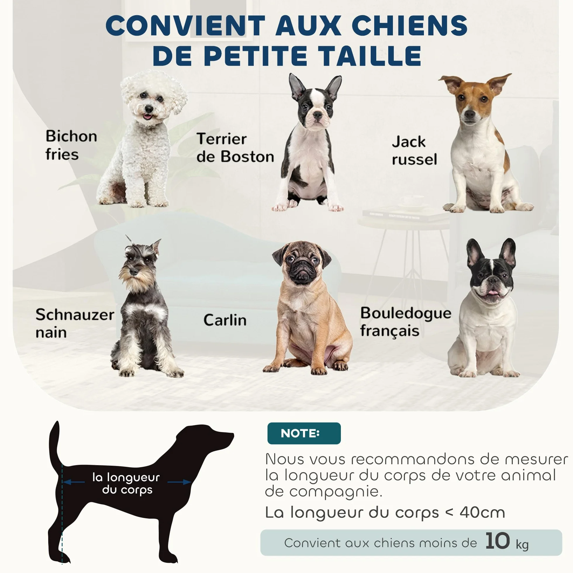 PawHut Canapé Chien Chat avec Coffre Rangement Style Moderne Coussin Amovible 76x45x43 cm Vert