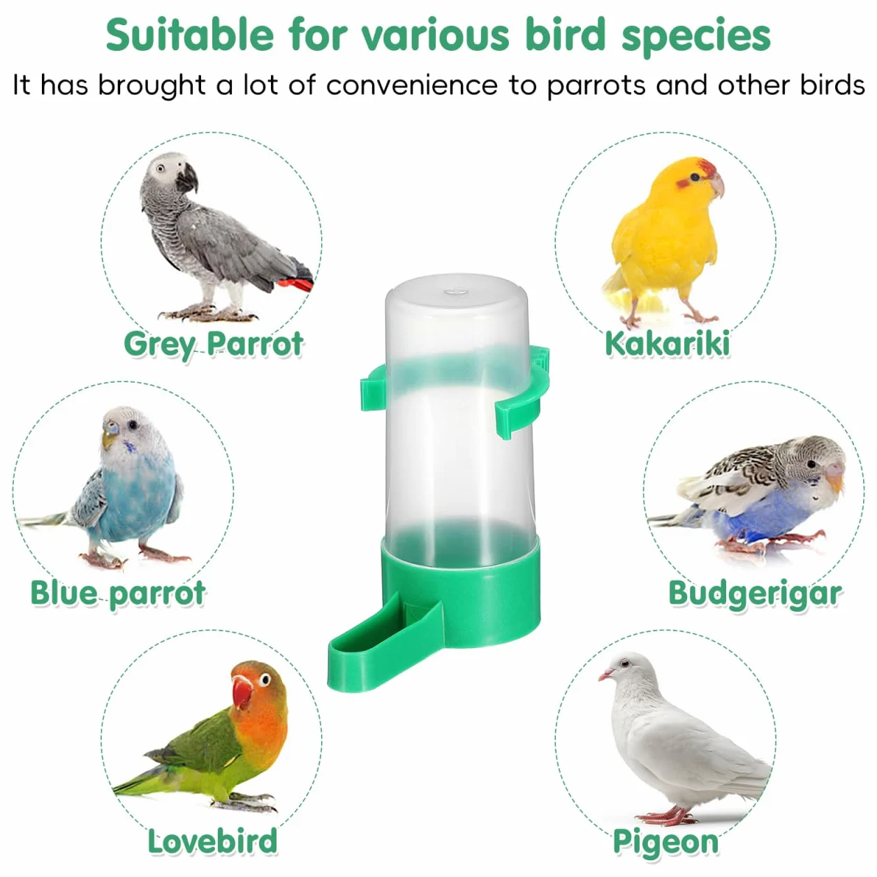 Hohopeti Distributeur d'eau Automatique pour Oiseaux en Cage 10 Pièces Abreuvoir Anti-Gaspillage 60Ml Bec Incliné