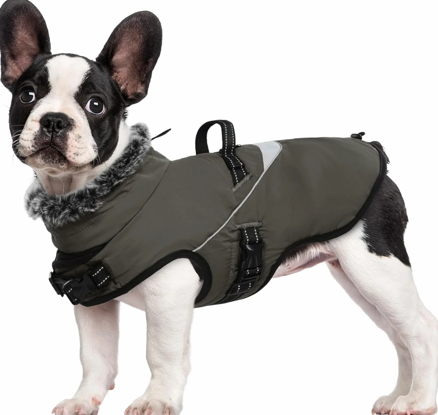 Manteau pour Chien imperméable avec Harnais, Hiver Chaud Réflecteurs Petite Moyenne Grande Taille