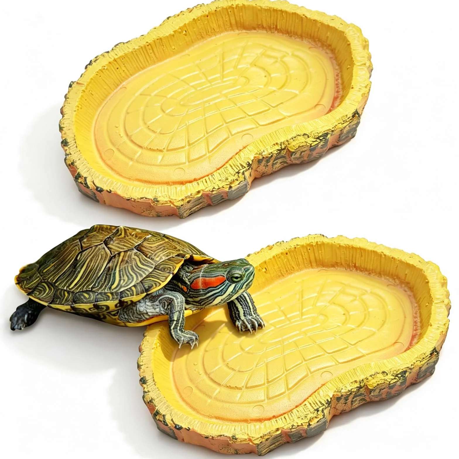 Bol d'eau Terrarium Accessoire, Gamelle Tortue Terrestre, Mangeoire Portable pour Reptiles 11x8x1cm Jaune