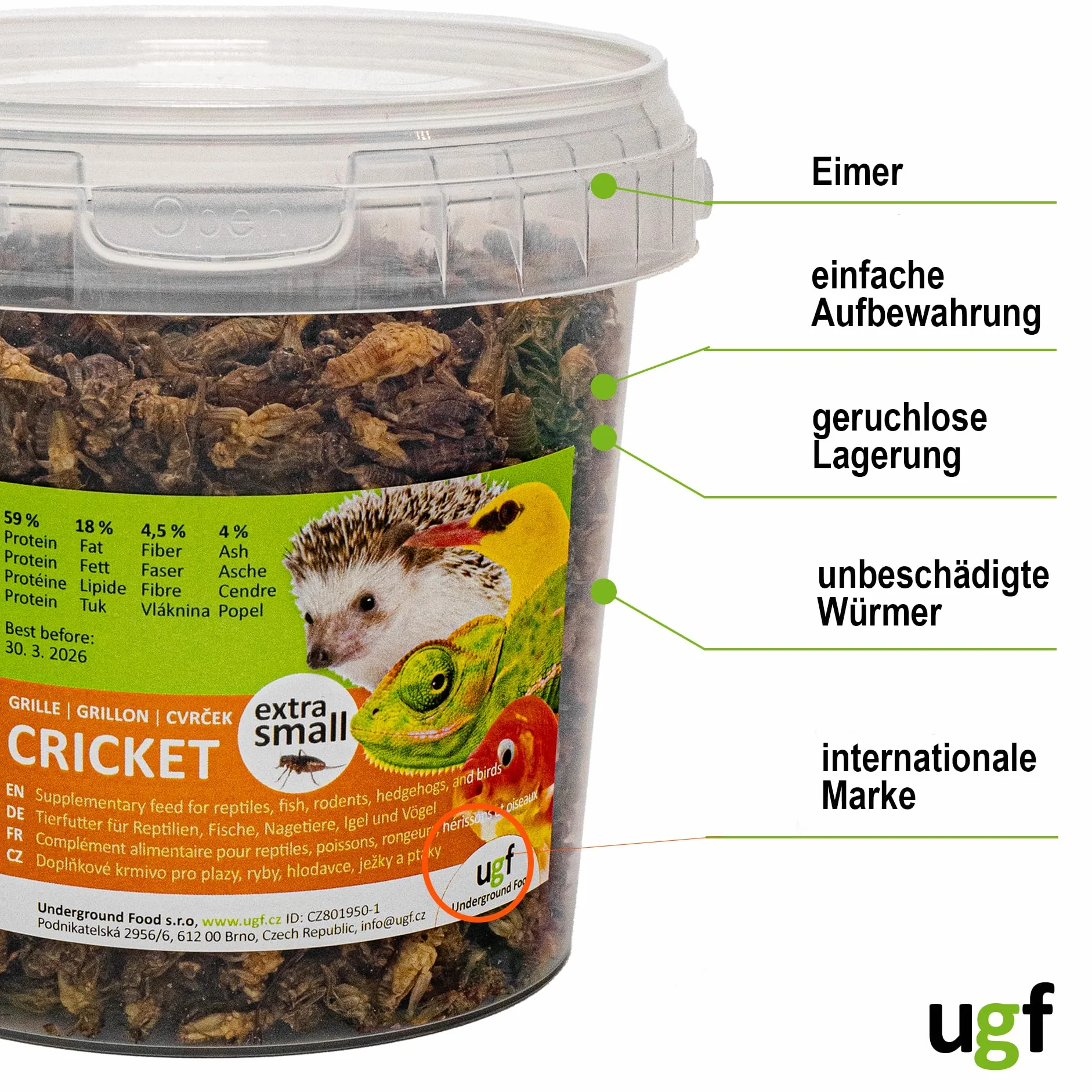 UGF - Grillons séchés (Petits) - 80 g en Pot de 500 ML, Insectes, Nourriture pour Oiseaux Sauvages (Toute l'année), Tortues, hérissons, lézards, Poissons