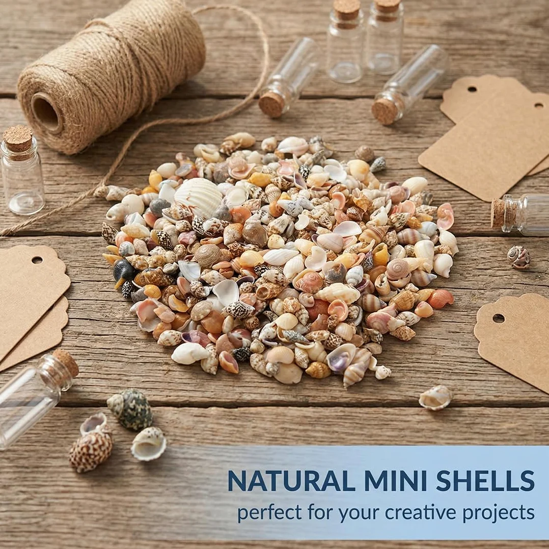 Mini Coquillages Naturels Mélangés Lot 200 Pièces Non Percées pour Décoration Maison
