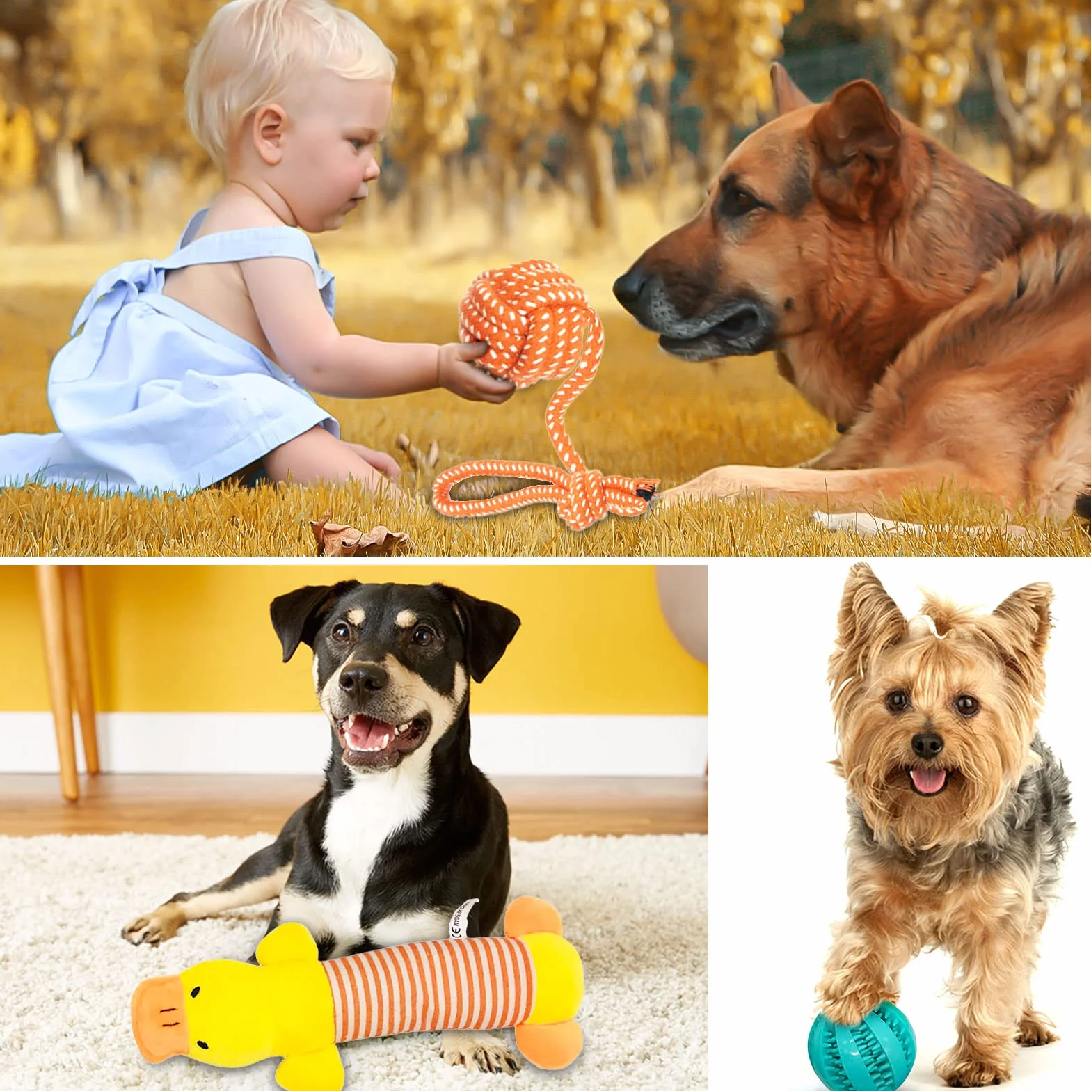 Lot de 20 jouets pour chien - Corde interactive - Balle en corde - Dents robustes - Jouet durable pour chiens de petite et grande taille