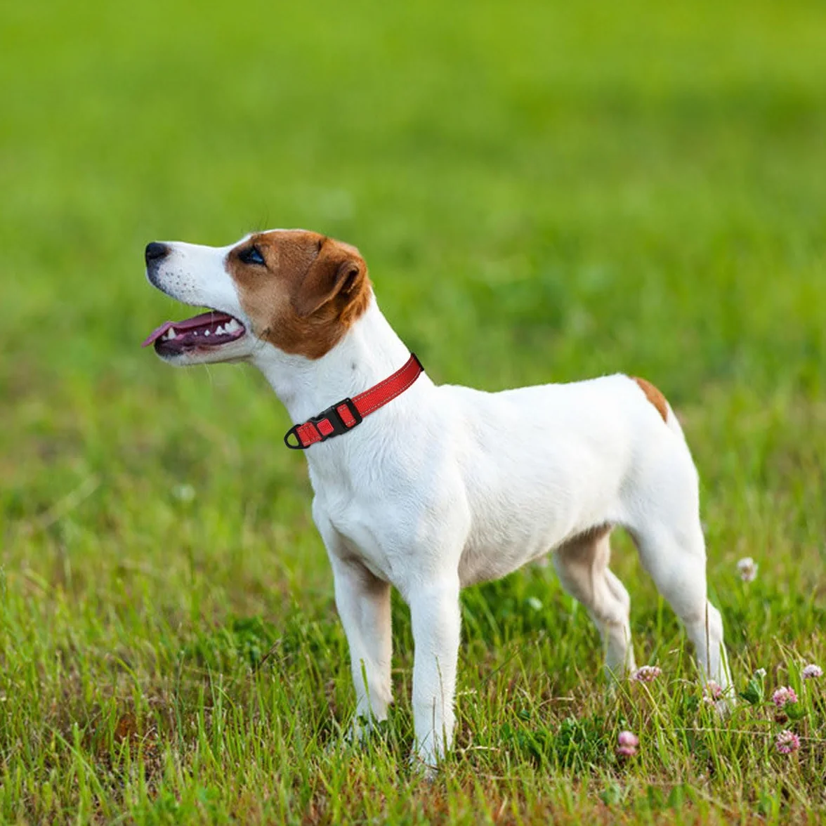 Collier pour Chien Réfléchissant Réglable Taglory, Verrou Sécurité Anti-Fugue, Nylon Résistant, Maille Respirante Rembourrée, Petit Chien, Visibilité Nuit, S, Rouge