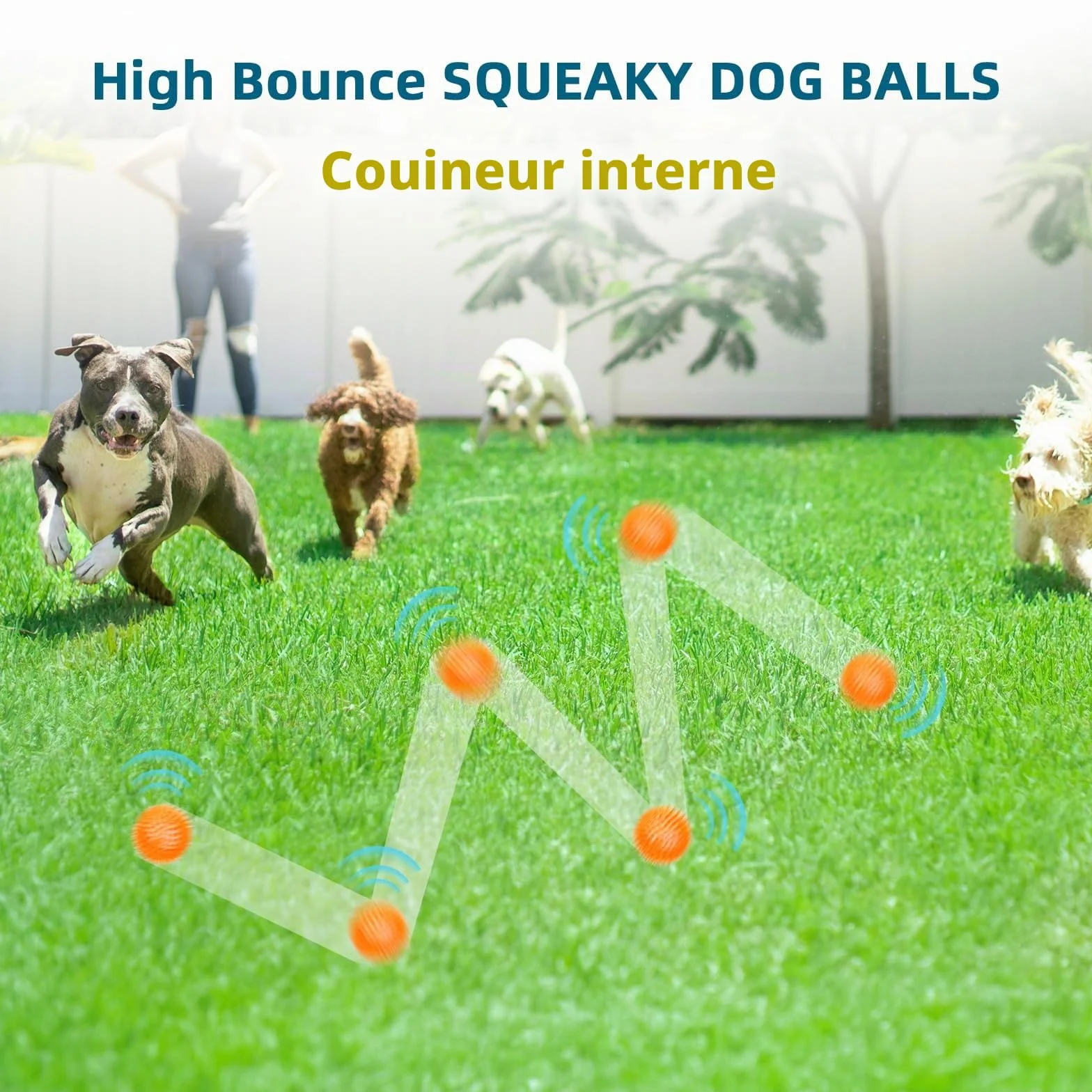 SHARLOVY Balles couineuses 7,6 cm pour Petits Chiens, 4 Couleurs, Jouets à mâcher durables pour Dentition