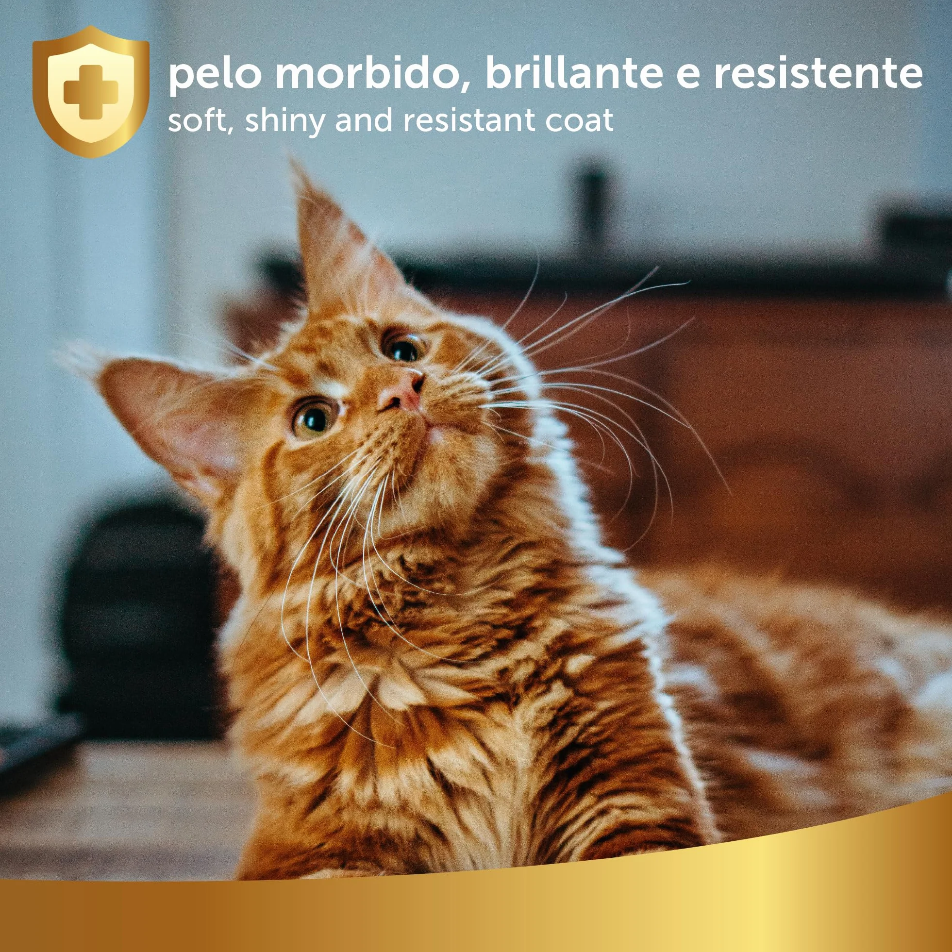 Démêlant Chat Poils Longs Linea 101 Spray 500ml Vegan Soin sans Rinçage Tous Types de Pelage