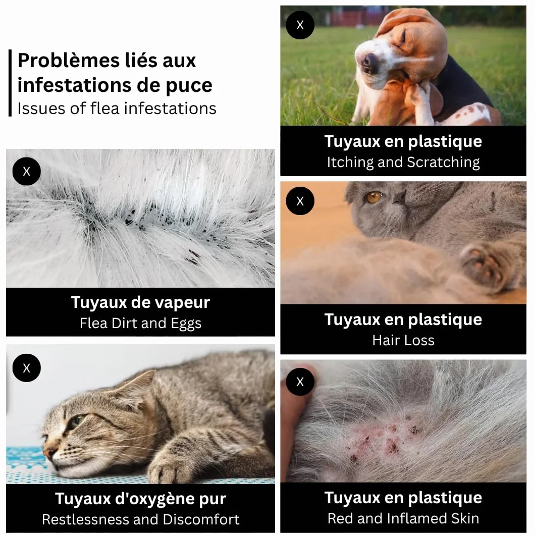 Peigne Anti-Puces avec Manche en Bois pour Chien et Chat – 16,7 cm