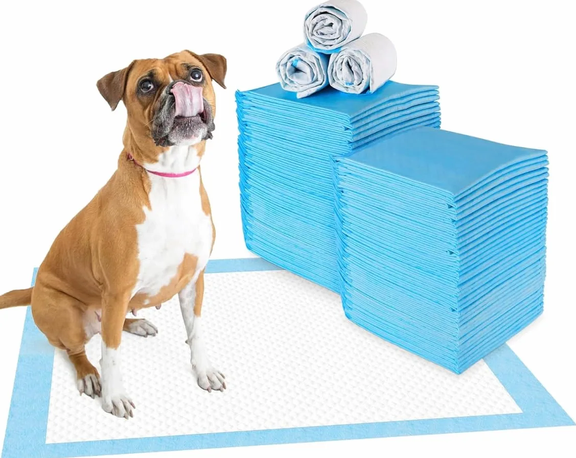 Lot de 100 tapis d'entraînement pour chiens et chiots - Design anti-fuite à 5 couches avec surface à séchage rapide - Bleu - 90 x 60 cm