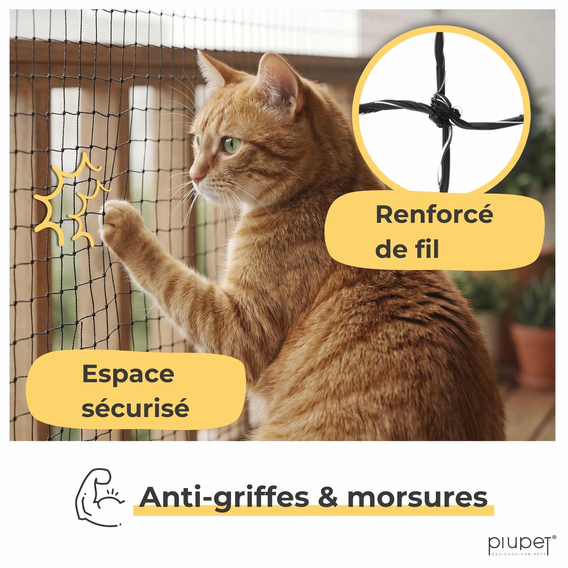 PiuPet® Filet pour Chat 4x3m renforcé avec Corde de Fixation Protection Balcon