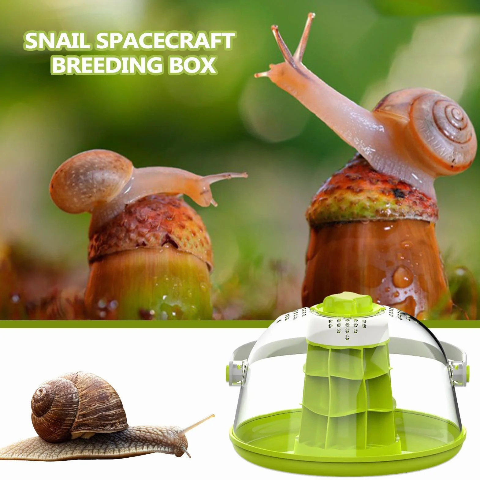 Terrarium en Verre pour Reptiles, Boîte d'Élevage Légère et Respirante pour Escargots, Tortues