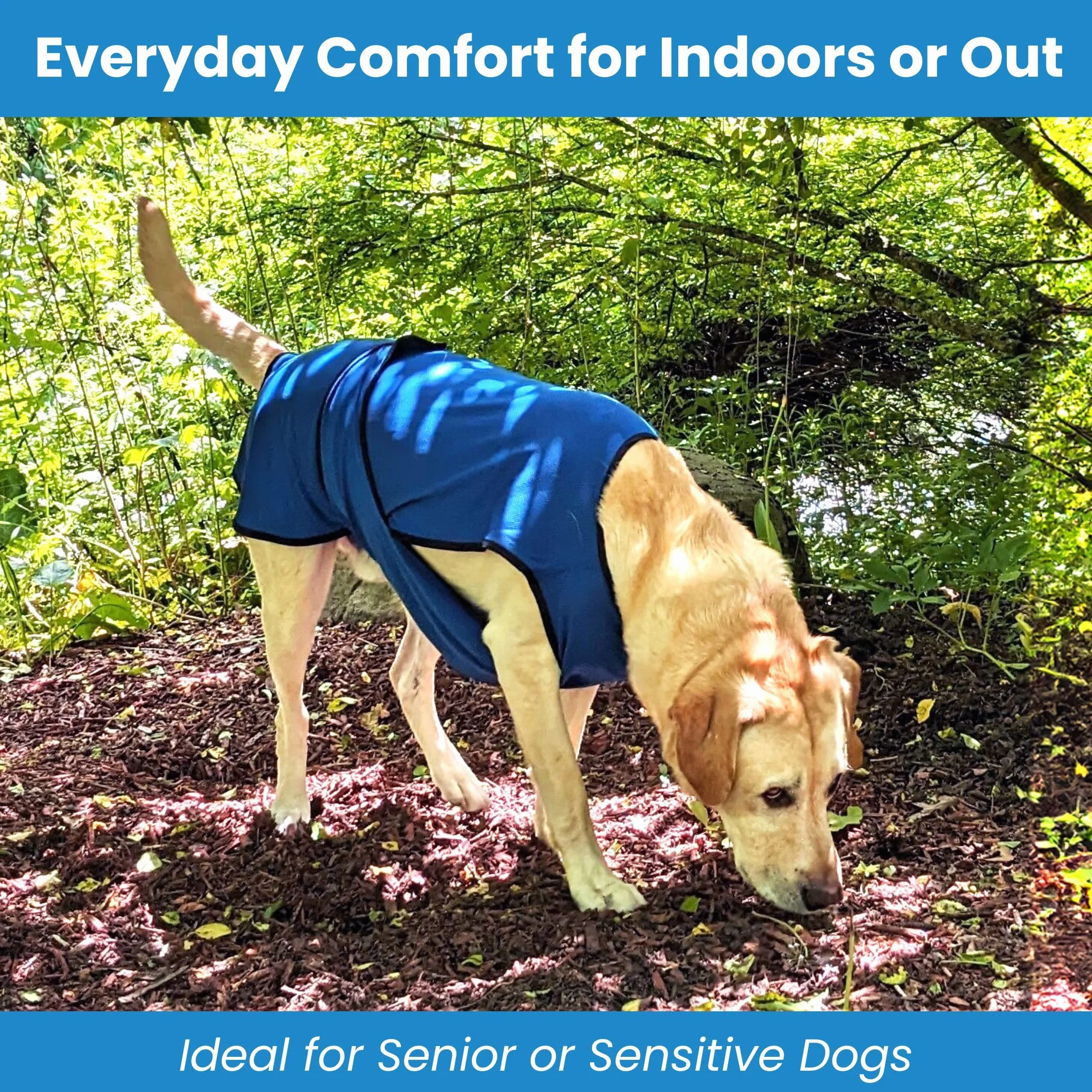 Gilet de Refroidissement pour Chien léger avec Technologie de Microfibre évaporative et Anti-UV, Taille pour Chiens Petits, Moyens et Grands, (M, Rose Rouge)