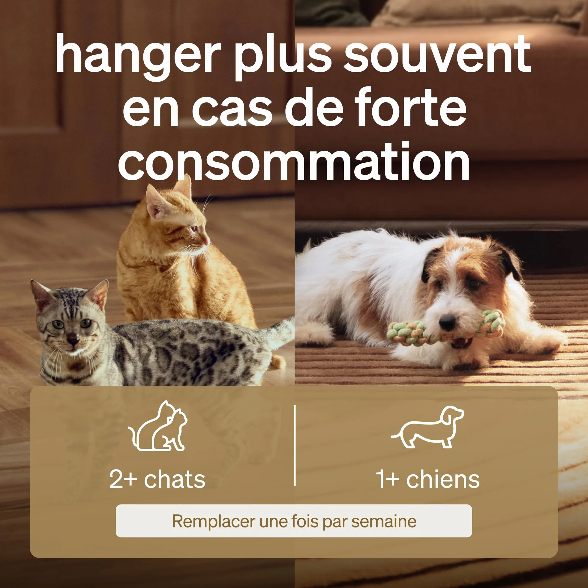 PETLIBRO Filtre Fontaine Eau Chat, Pack de 4 Filtres de Remplacement pour Dockstream PLWF005, PLWF115, PLWF105