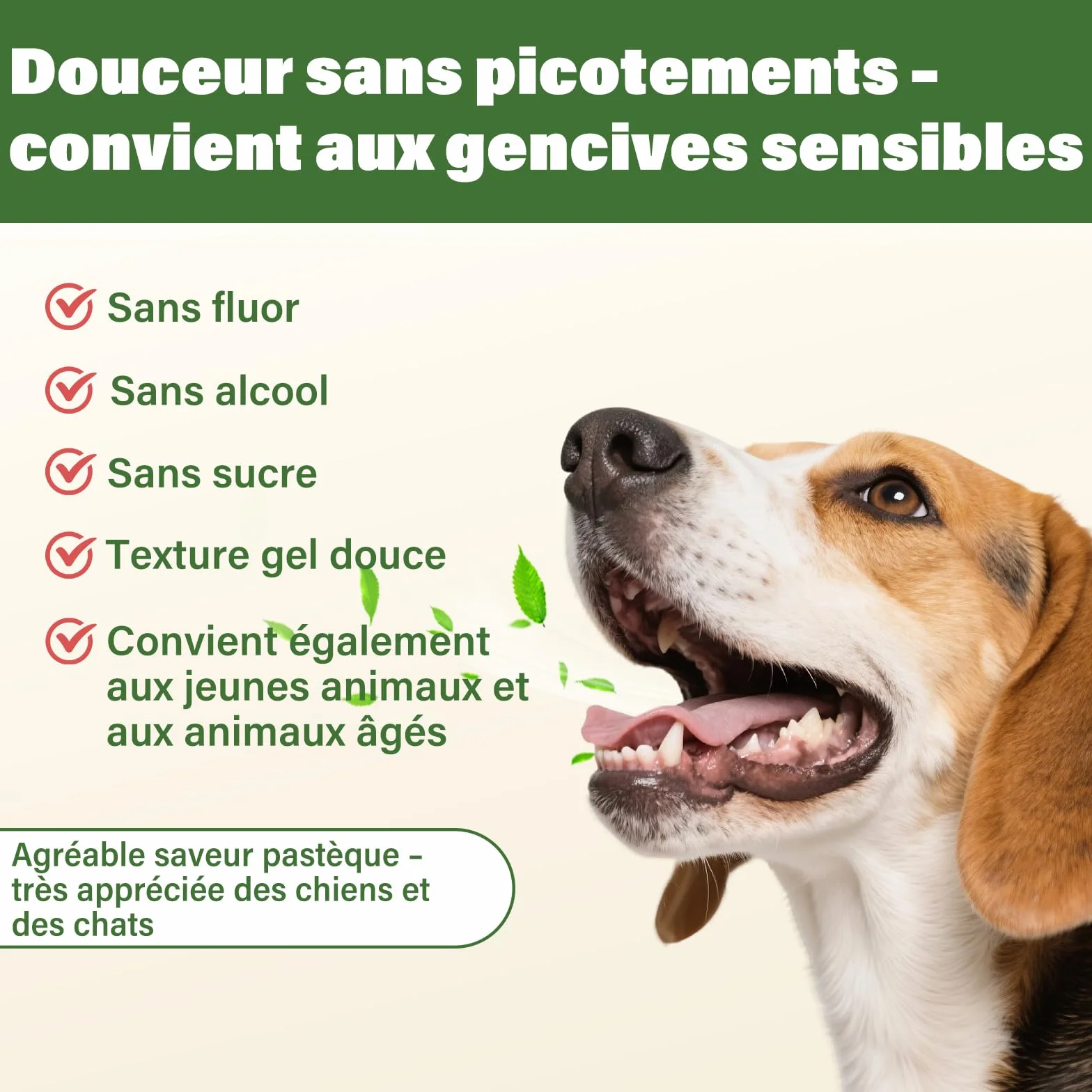 UNEK Dentifrice chiens chats saveur pastèque 2 brosses à dents