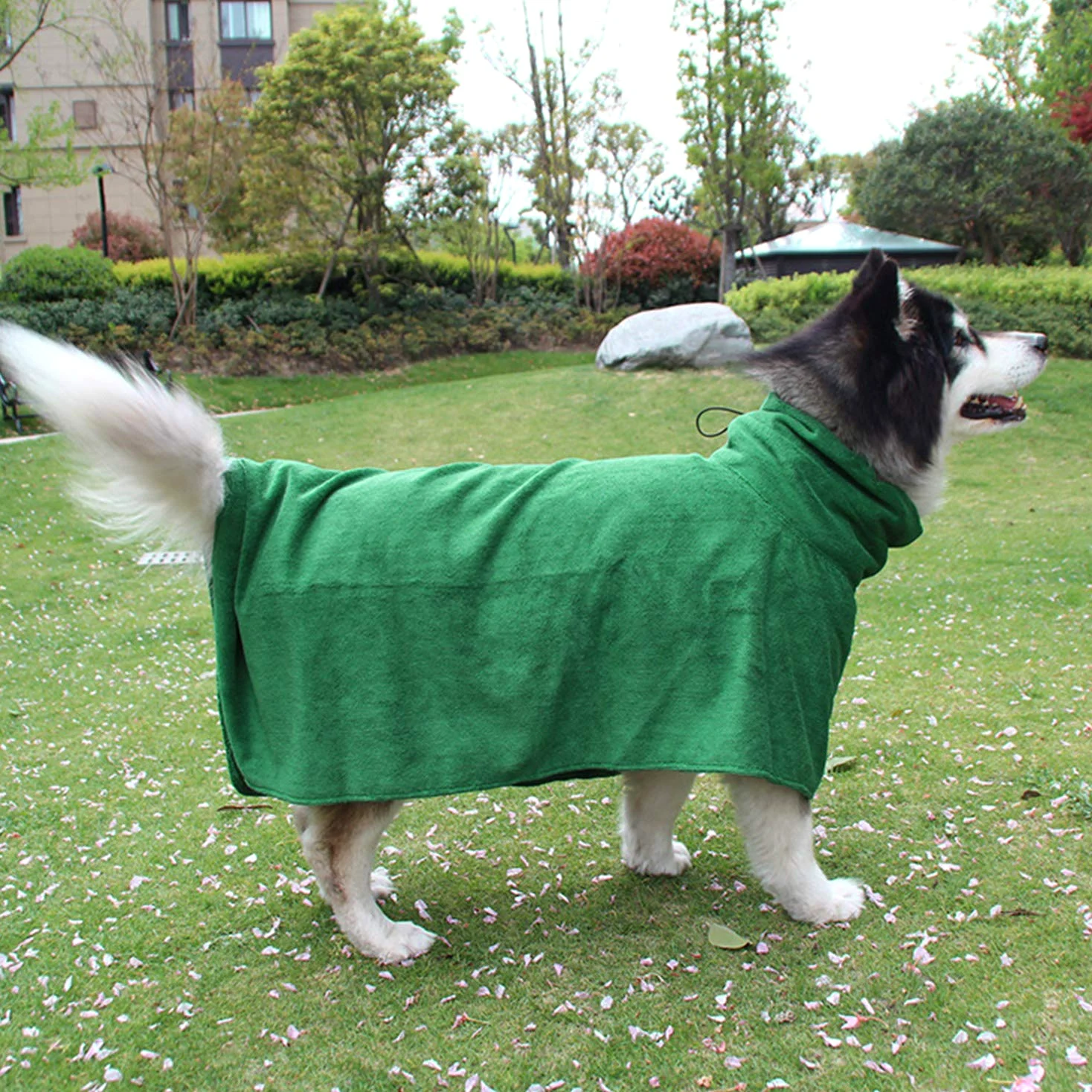 PETCUTE Peignoir Serviette de Bain pour Chien Microfibre Peignoir pour Chien Grand Petit Séchage Rapide avec bandoulière réglable