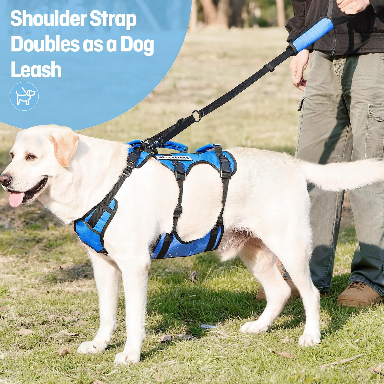 Harnais de Levage pour Grand Chien, Soutien Complet avec 3 Poignées, Sangle d'Épaule, Aide à la Marche pour Chiens Seniors, Arthrite, Bleu, XL