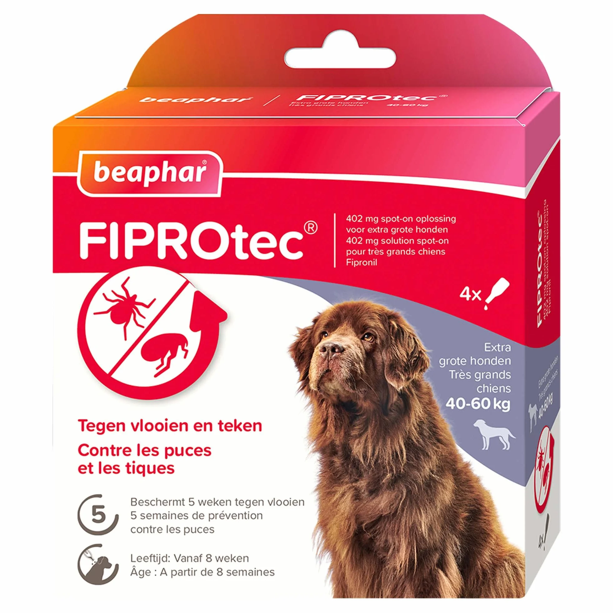 BEAPHAR FIPROTEC Solution Spot-on pour Très Grands Chiens 40-60 kg 402 mg Fipronil Anti-Puces Anti-Tiques 4 Pipettes