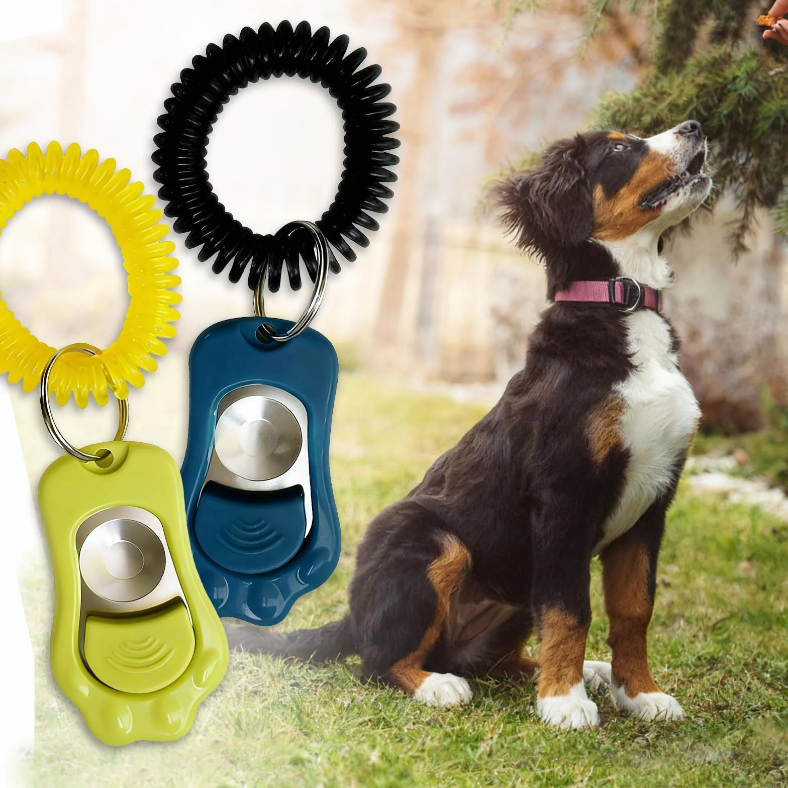 2 Pcs Sifflet Ultrason Chien, Clicker Dressage pour Chien, Clicker Training pour Animaux à Fréquence Ajustable (avec Laniette), pour Chien, Chat, Oiseau, Lapin (Vert Sauge/Gris Bleu)