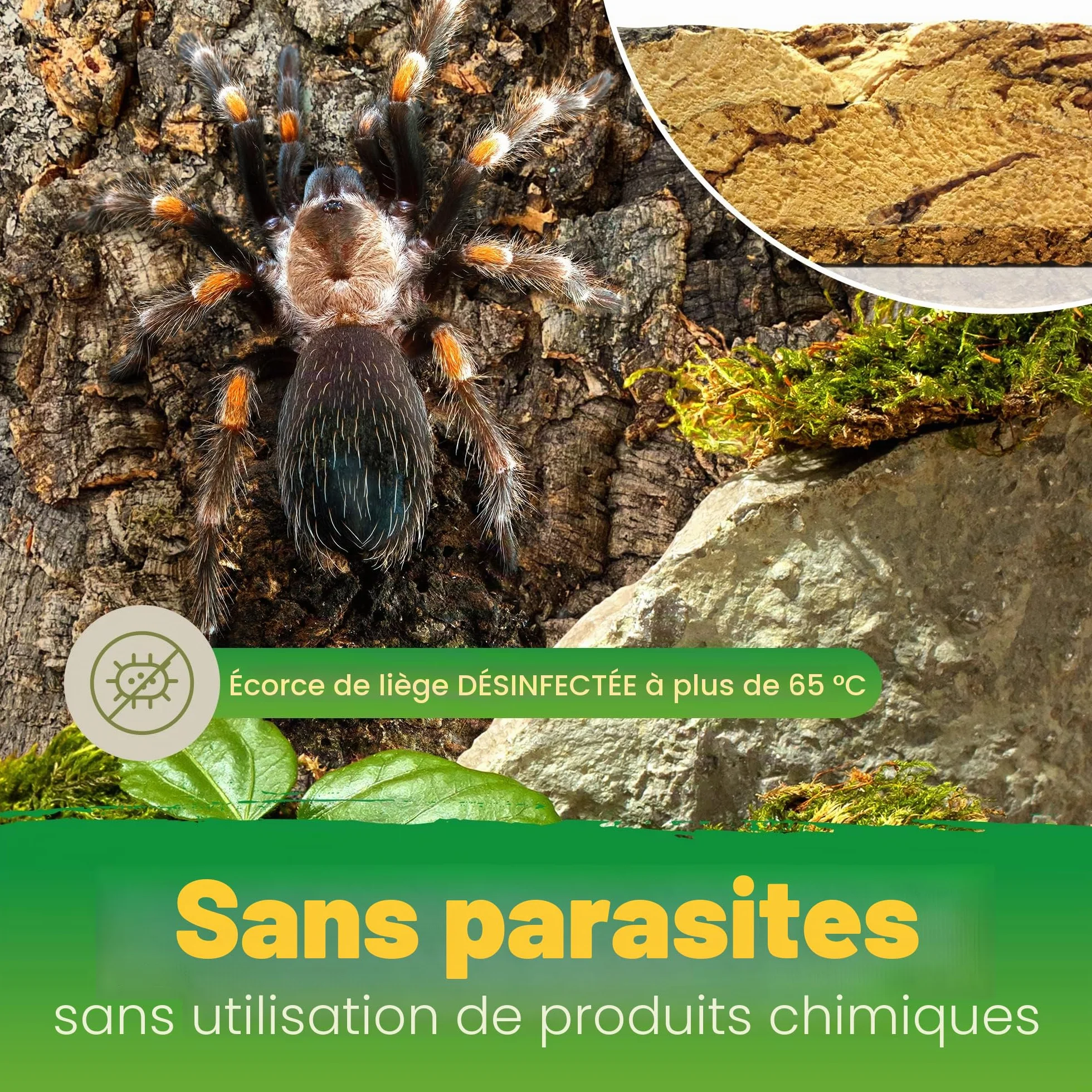 Paroi arrière XL en liège 3D pour Terrarium 90 x 60 cm