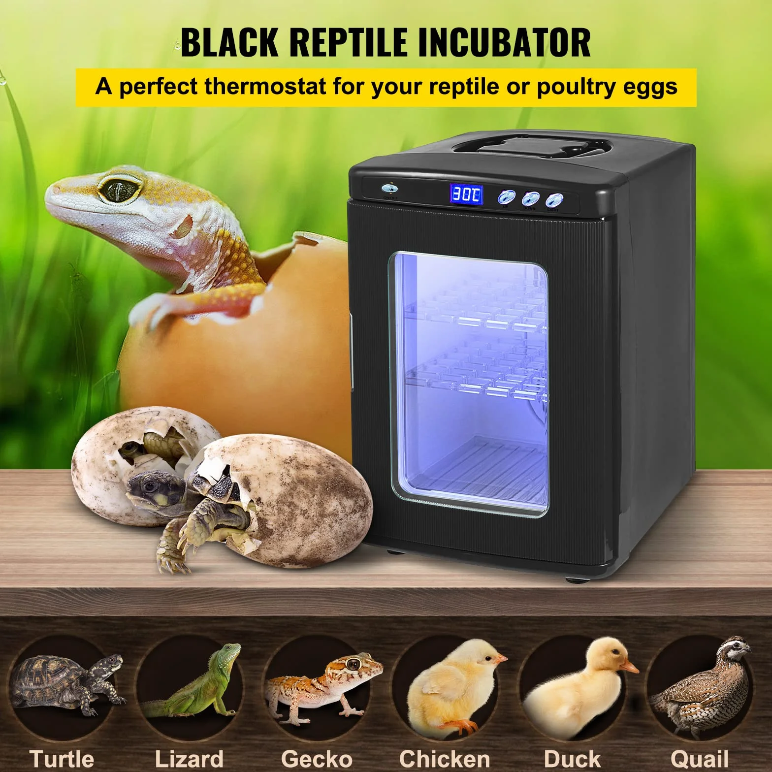 Incubateur 25L Automatique 5°-60°C pour Reptiles Amphibiens