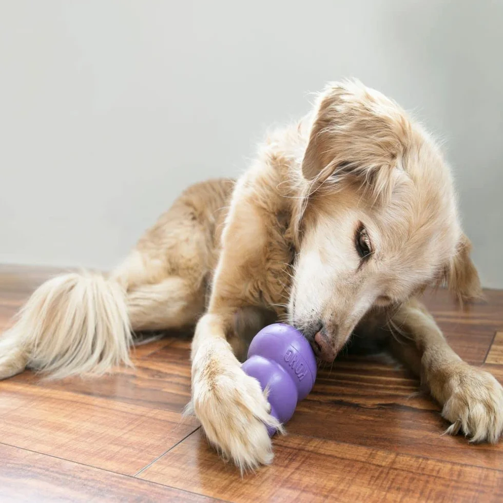 KONG Senior Jouet pour Chien Caoutchouc Naturel Doux Remplissable Friandises Chiens Âgés Moyens