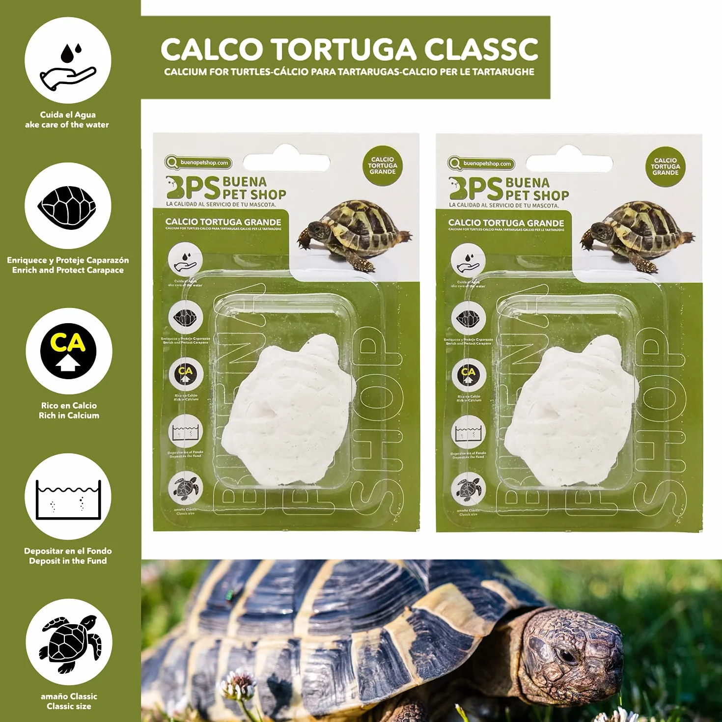 BPS 2 pièces Bloc de Calcium pour Tortues Grand complément de Base Naturel
