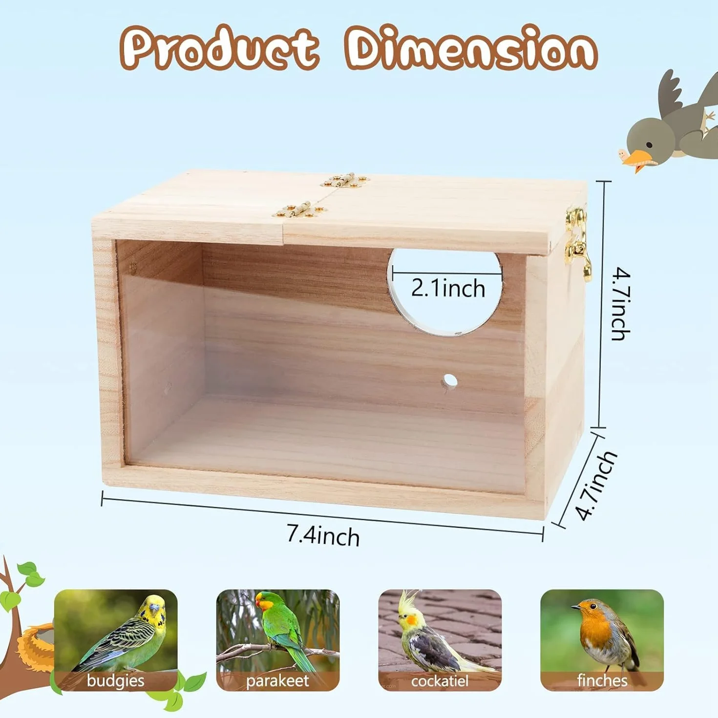 Loufy Nichoir en bois transparent pour perroquet, perruche, calopsitte, inséparable, 1 pièce