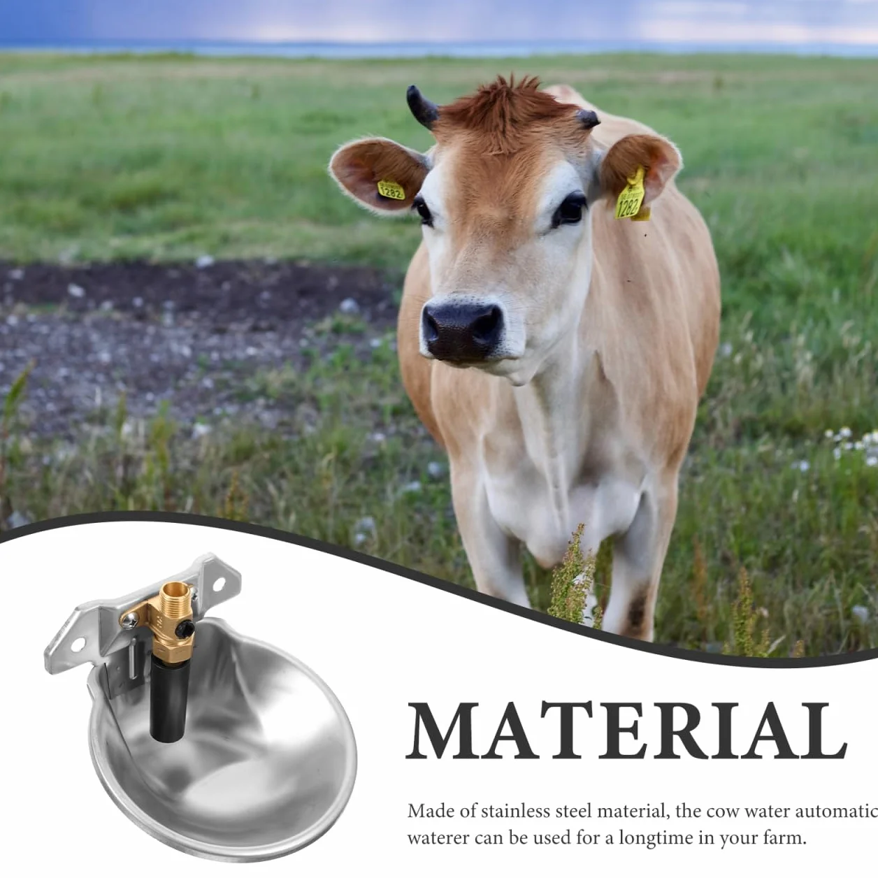 Abreuvoir Automatique Inox Bol Eau Anti-éclaboussures pour Bovins Ovins Régulateur Niveau Constant