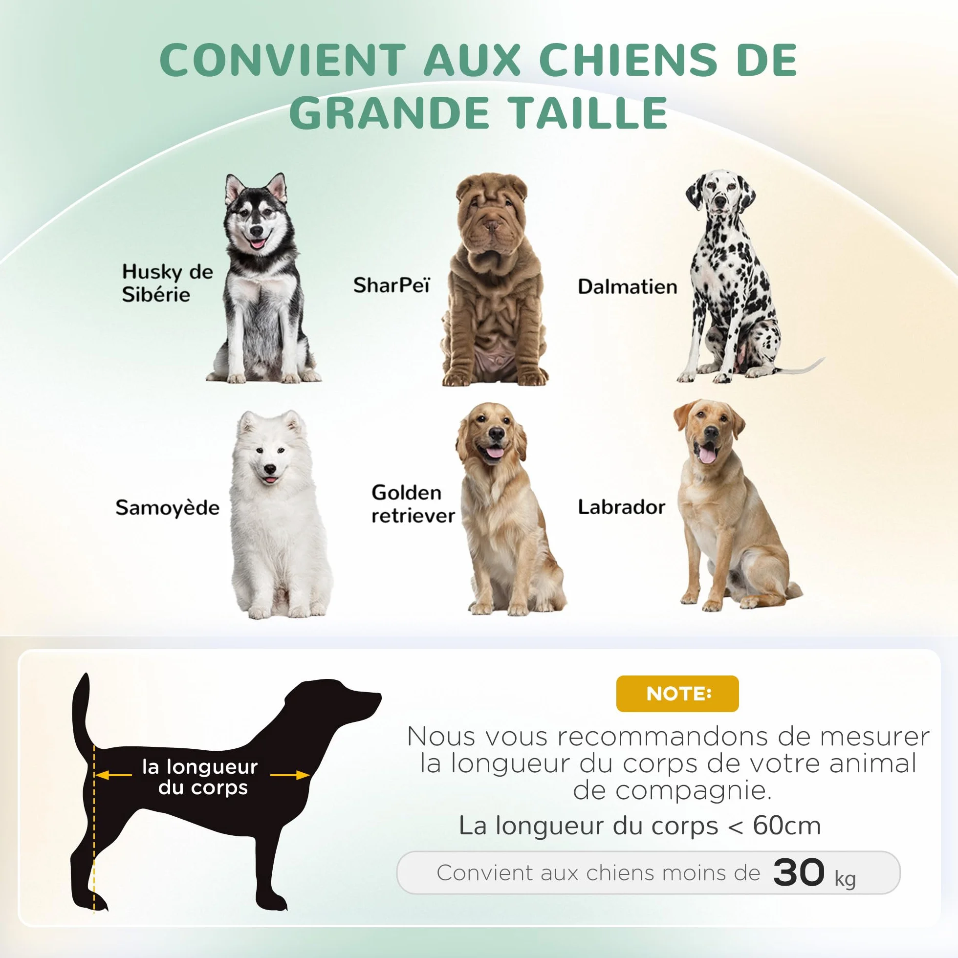 PawHut Canapé pour Chien avec Coussin Amovible, Velours Doux, Pieds Bois Massif, 100x70x25 cm, Vert
