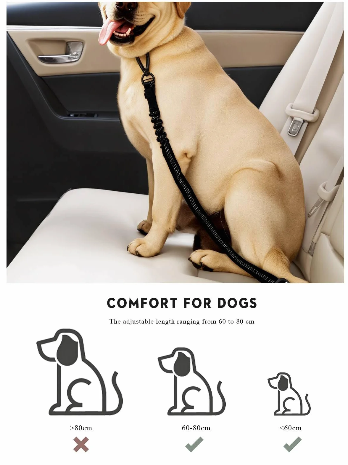 Ceinture securite Chien Voiture, Harnais Laisse Voiture Chien Attache avec Absorption des Chocs élastique et Mousqueton en métal pour Tous Les Chiens et Chats
