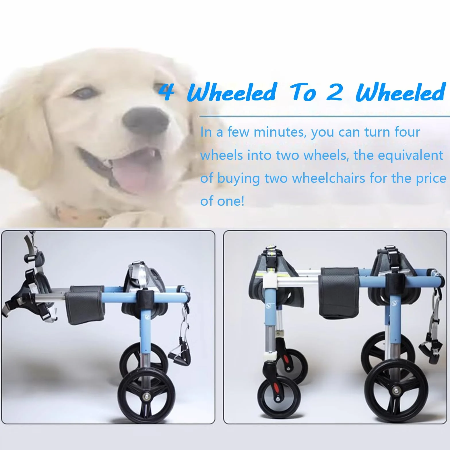 Fauteuil Roulant Pour Chien 4 Roues Attelle Marcheur Handicapé Aide Marche Animaux XL Bleu