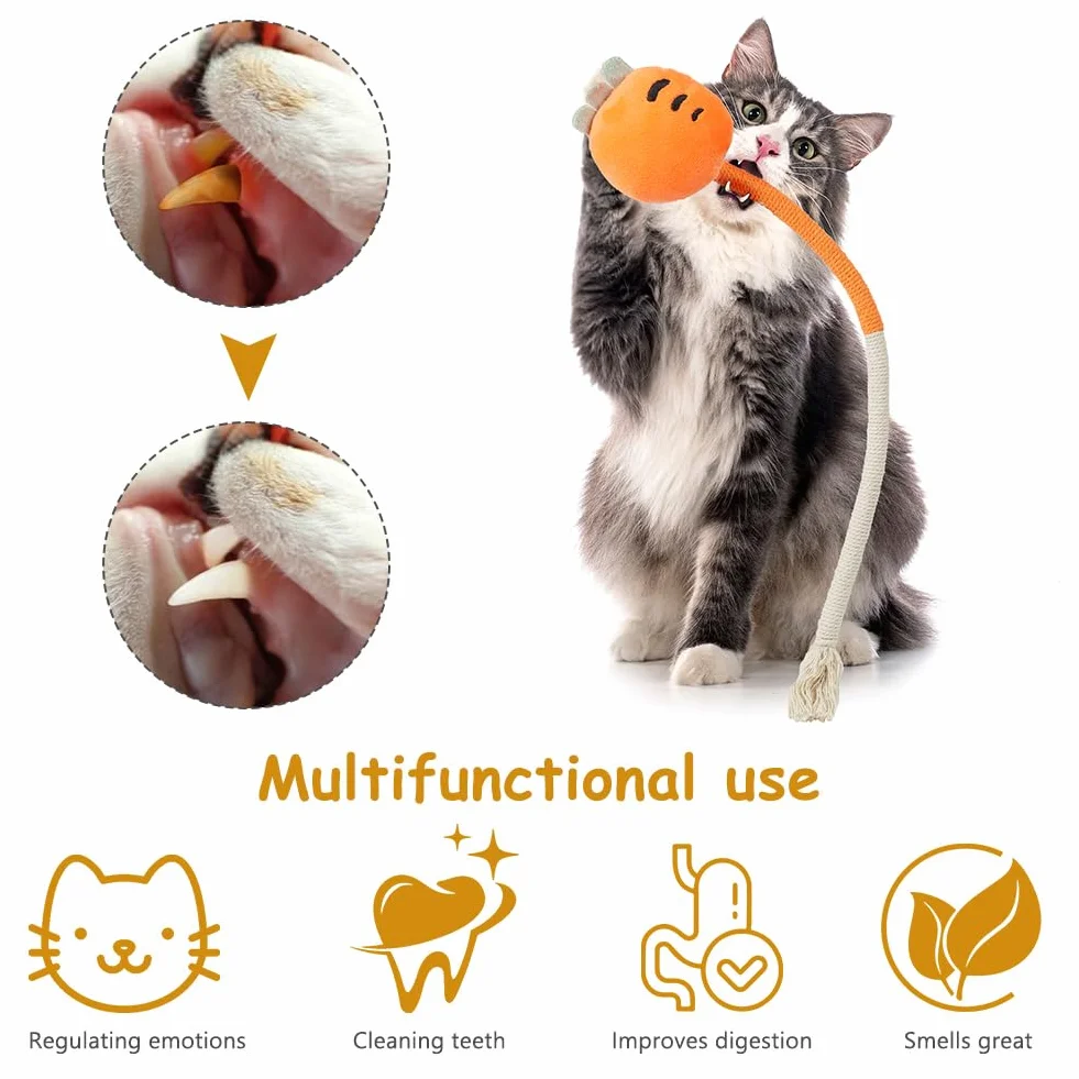 Jouet Chat 4PCS Jouets Interactifs Corde à Taquiner Jouet De Dentition Chaton