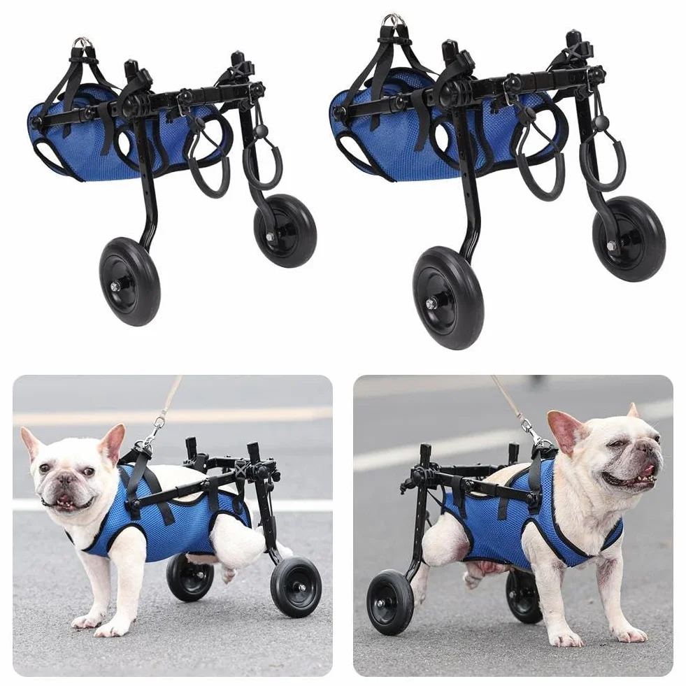 Chariot réglable pour chien handicapé aide mobilité membres postérieurs rééducation