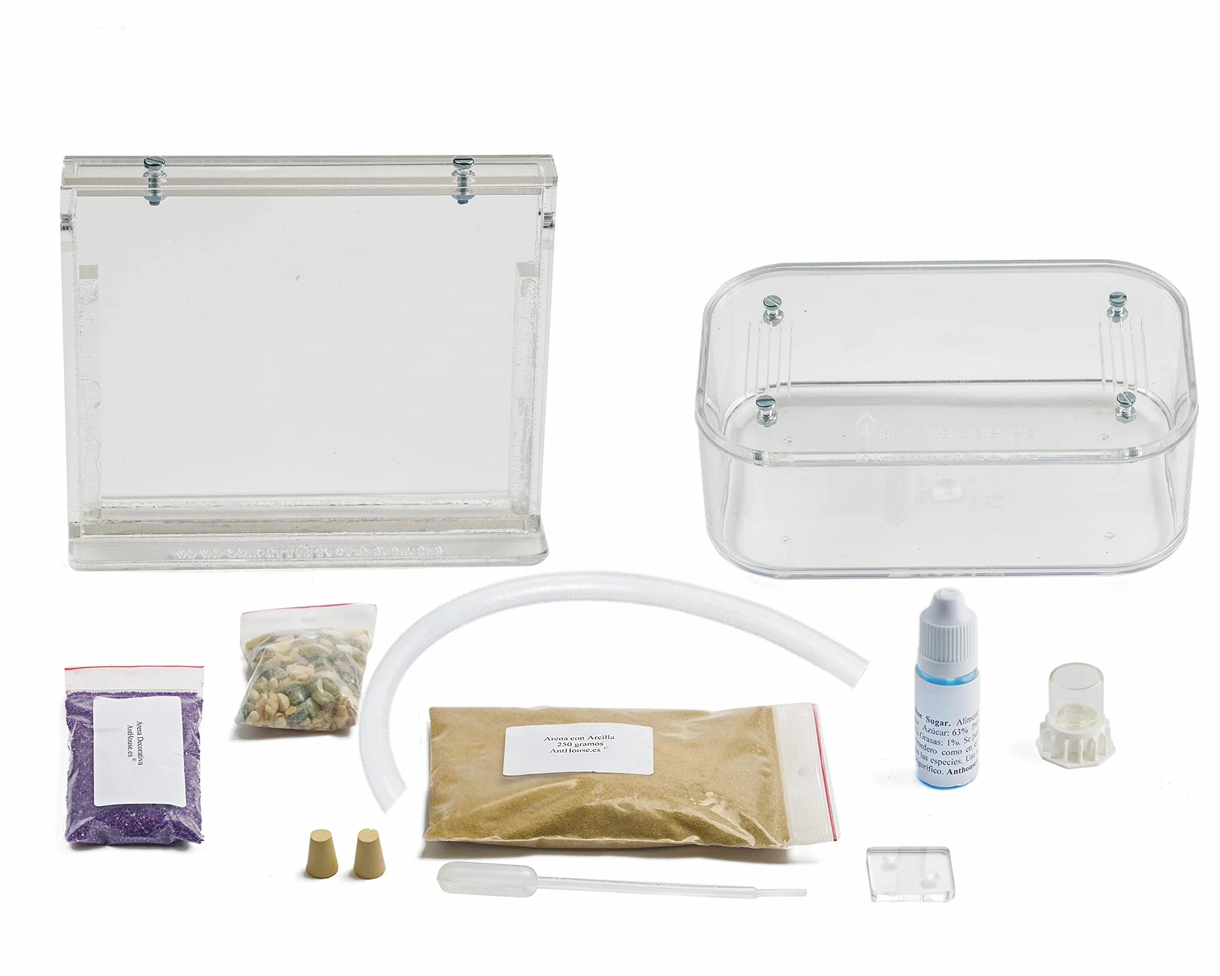 Fourmilière Naturelle en Sable Kit Basic avec Fourmis Incluses