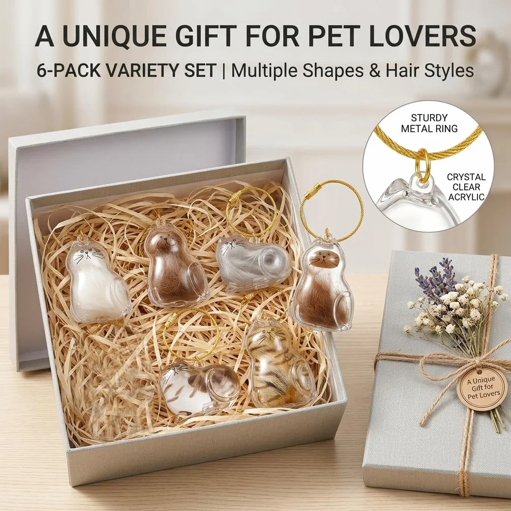 Lot de 6 porte-clés en poils de chat, boîte de rangement transparente, cadeau commémoratif créatif