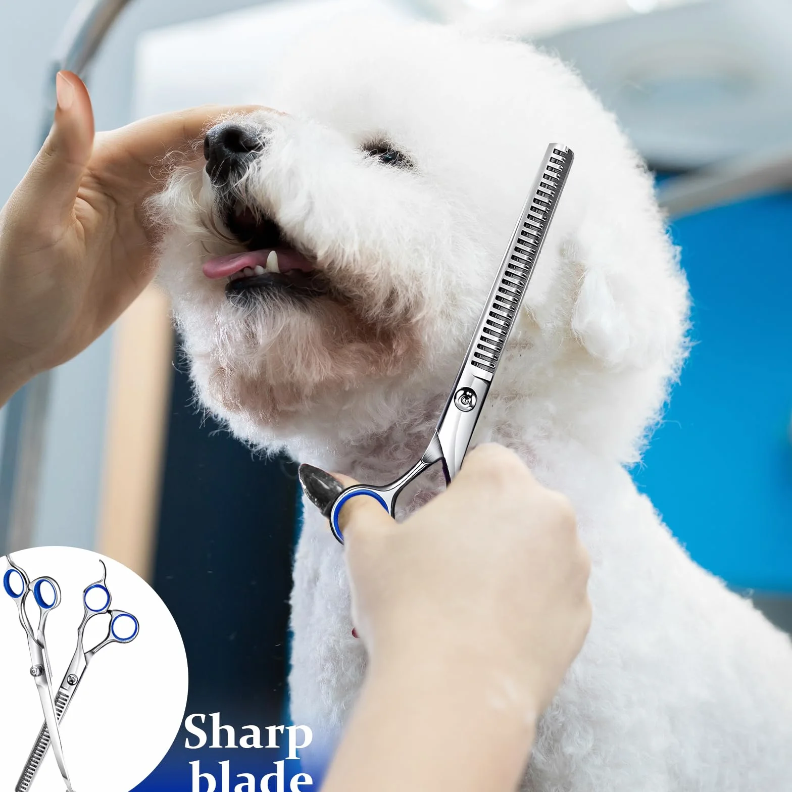 Ciseaux de Toilettage pour Chiens, Acier Inoxydable avec Pointe Ronde de Sécurité, y Ciseaux à Effiler Chien, Ciseaux Courbes Chien, Ciseaux Droits, Peigne, pour Chiens Chats