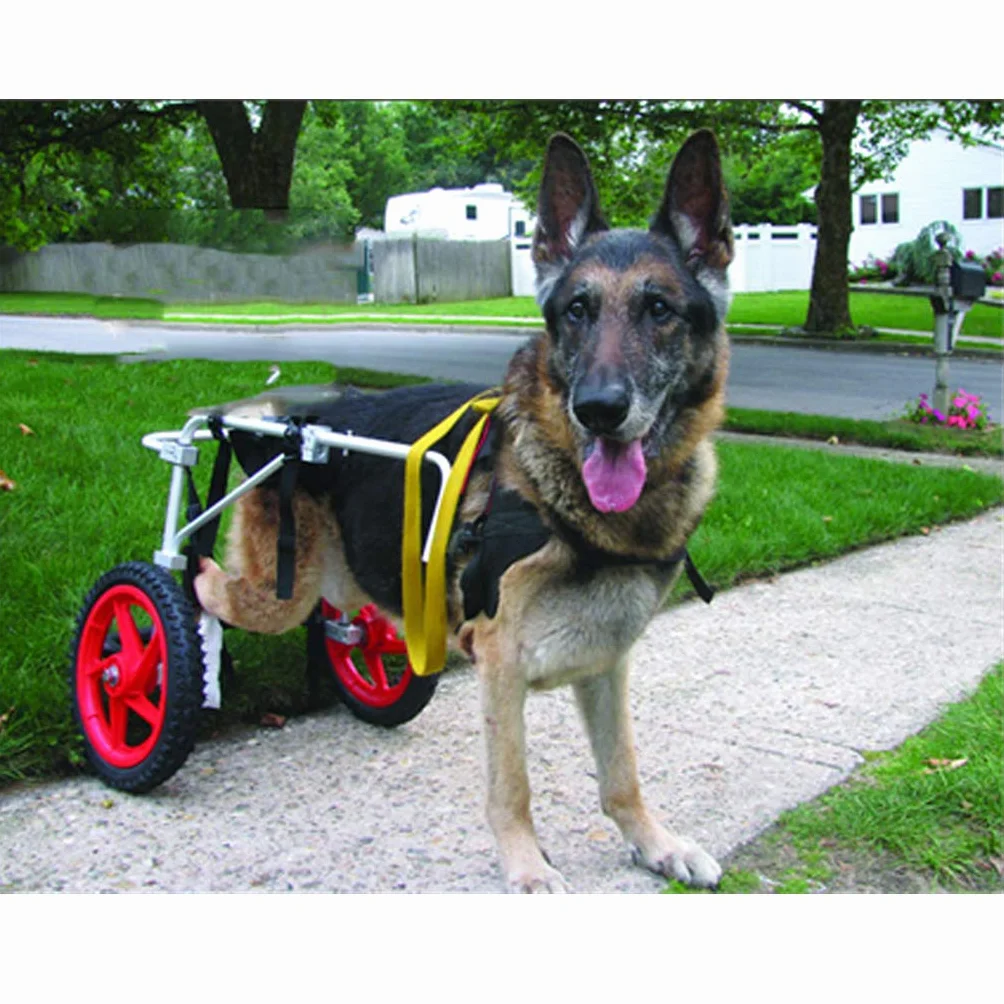 Fauteuil Roulant pour Chien Réglable Léger pour Animaux Handicapés, Chariot de Réadaptation Pattes Arrière Petit Chien Taille L