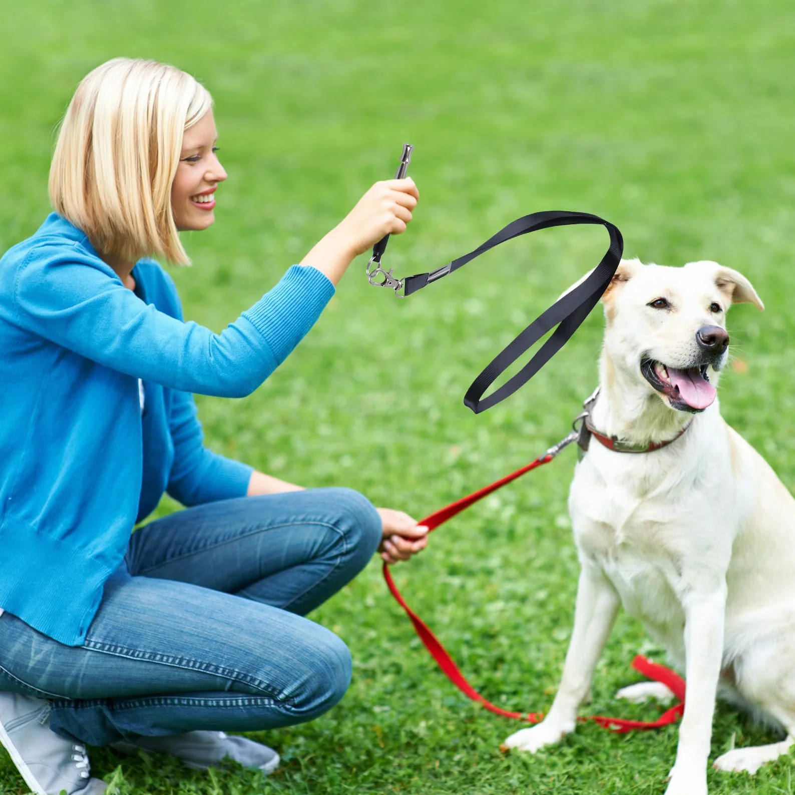 Sifflet Ultrason Chien Anti Aboiement Exterieur Repulsif Ultrasons Chat Grand Sifflets Femme Pet Promenade Sauvetage