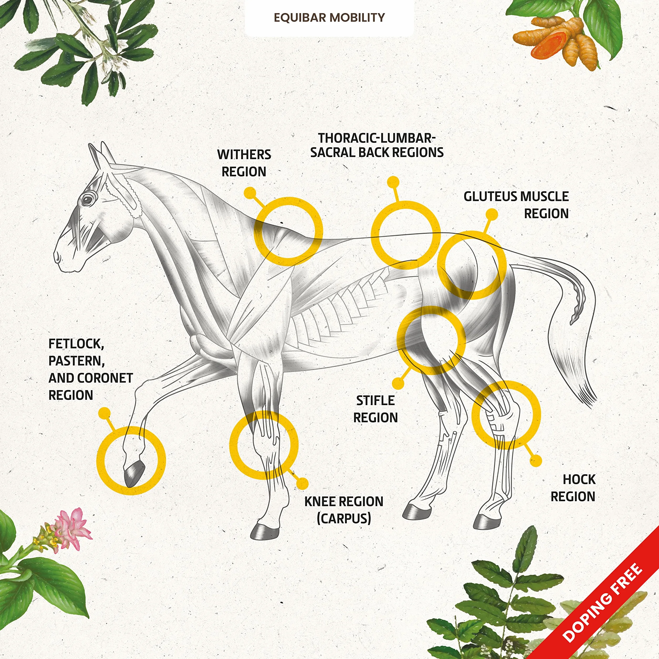 EQUIBAR Mobility 7, 700 g